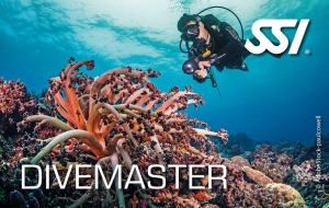 Divemaster[1].jpg
